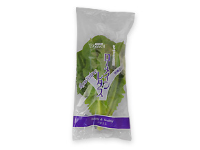 ロメインレタス