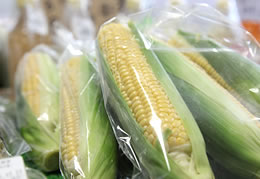 露地野菜